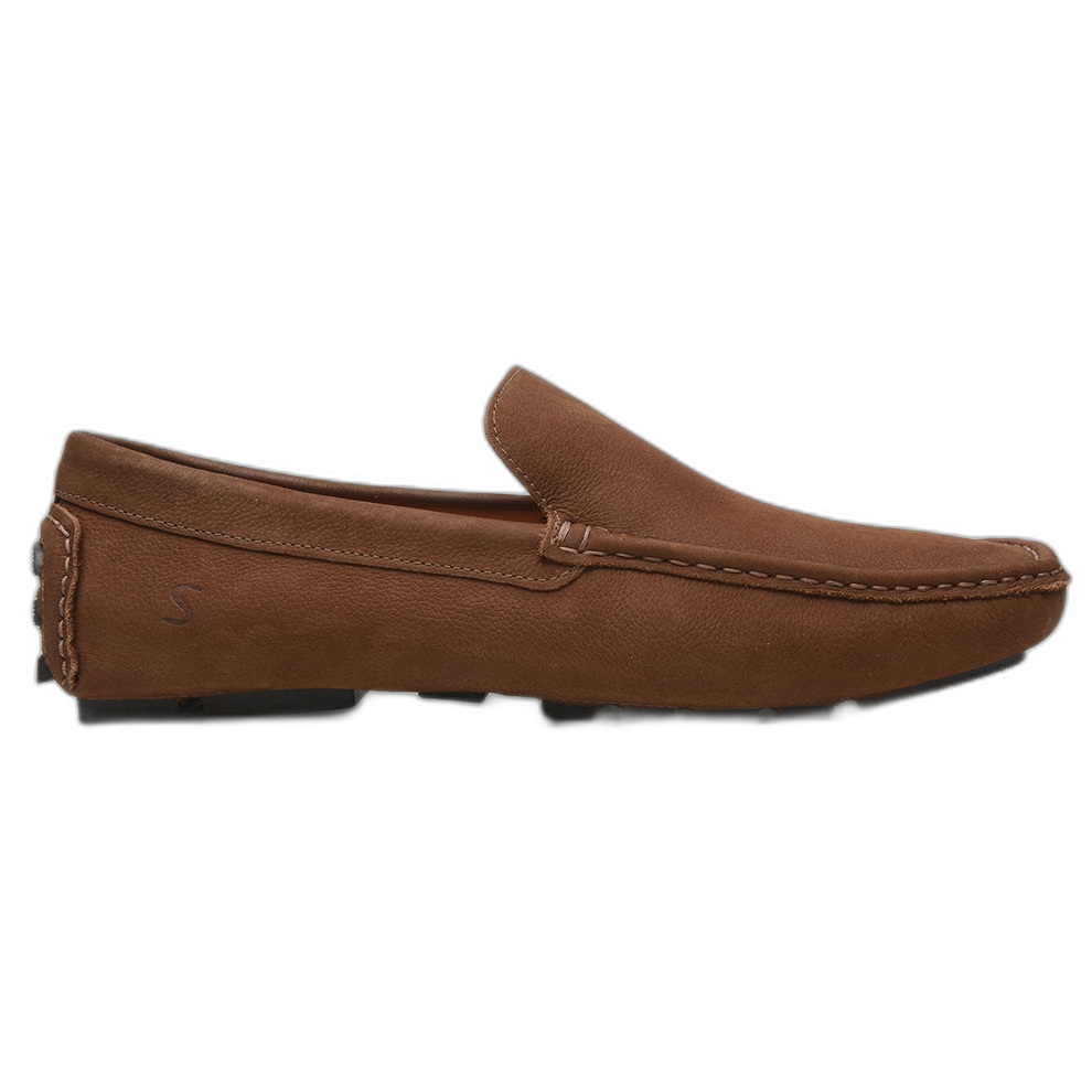 The Paddock — side